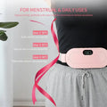 Buy Menstrual Comfort Heating Pad in Pakistan